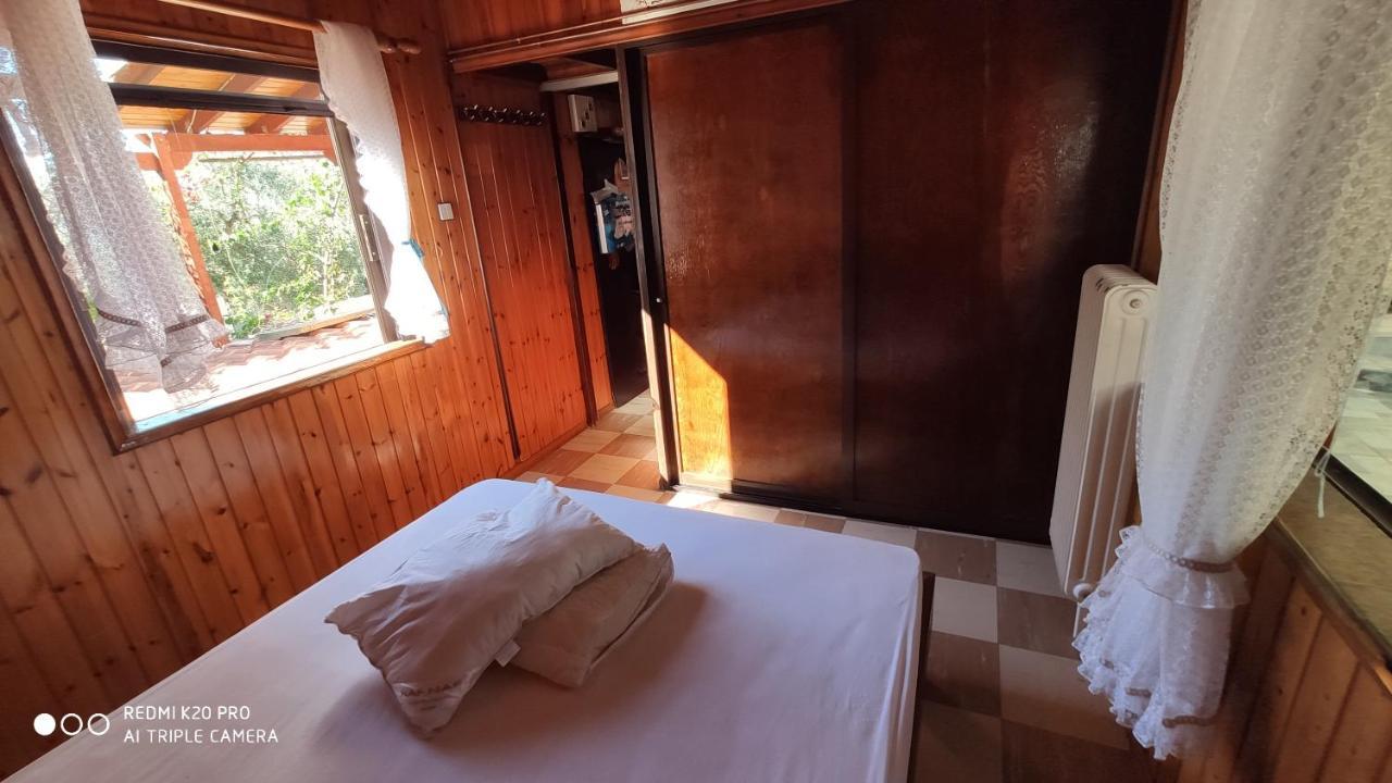 Panorama Apartment Eretria  Ngoại thất bức ảnh