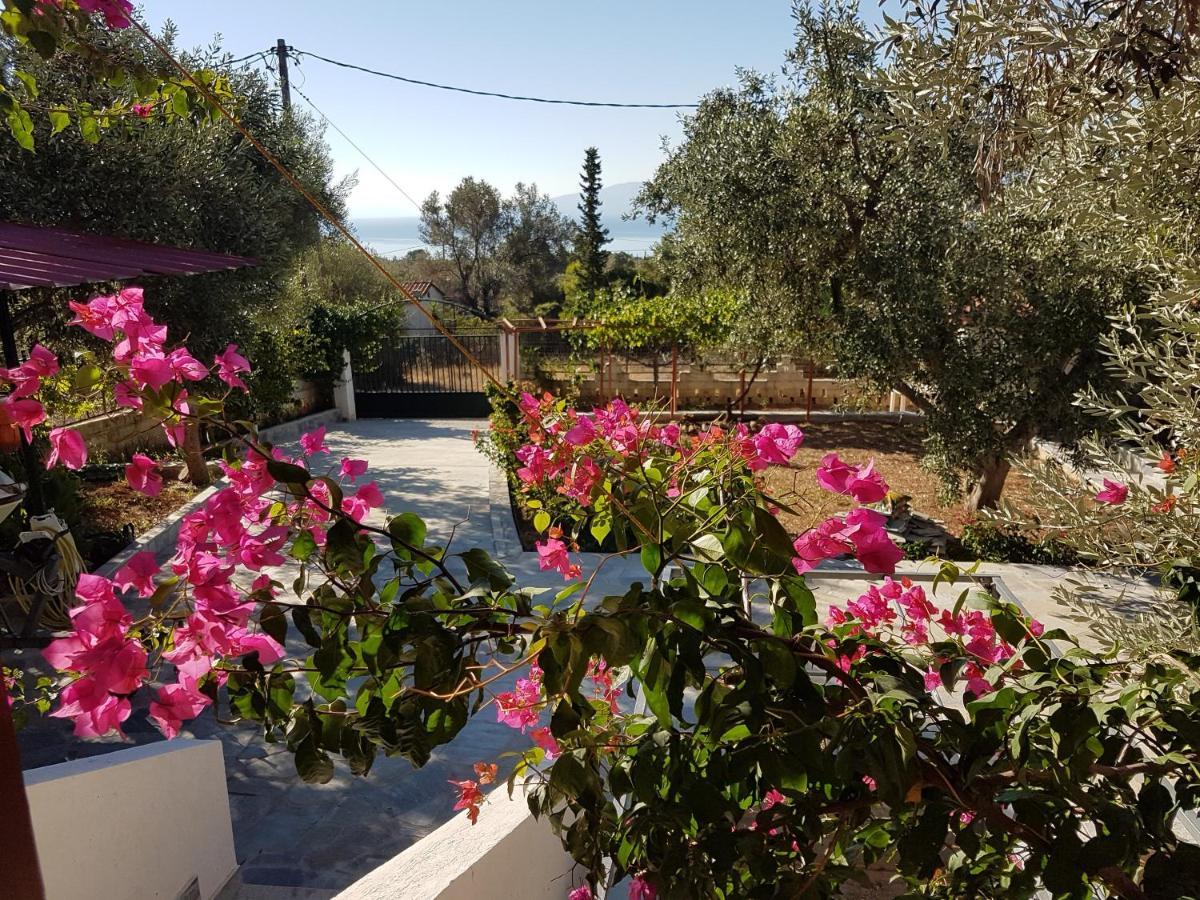 Panorama Apartment Eretria  Ngoại thất bức ảnh