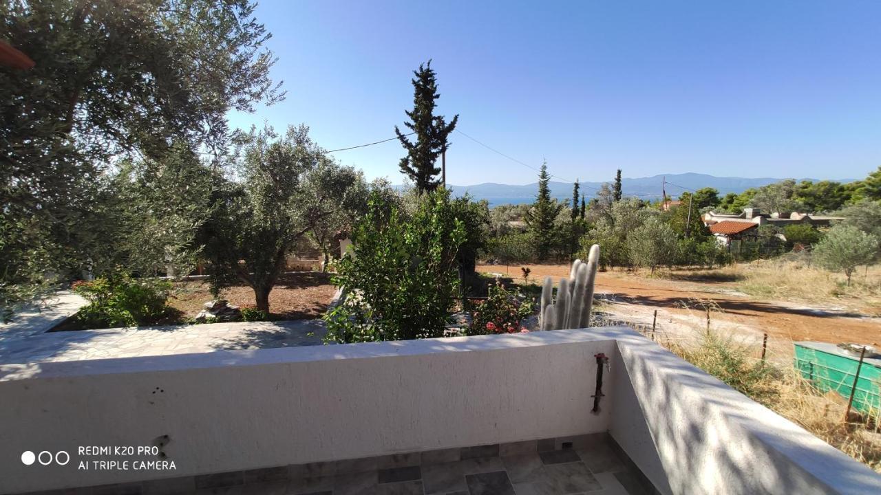 Panorama Apartment Eretria  Ngoại thất bức ảnh