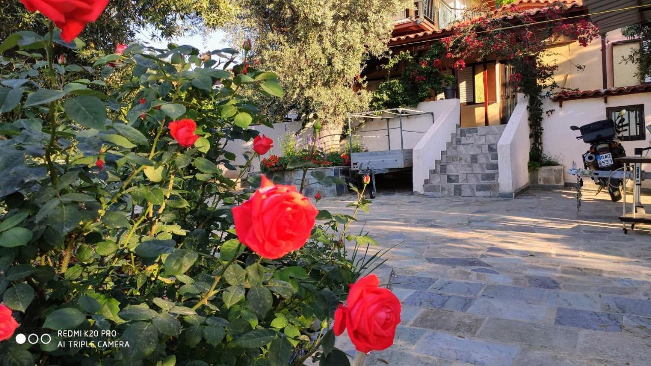 Panorama Apartment Eretria  Ngoại thất bức ảnh