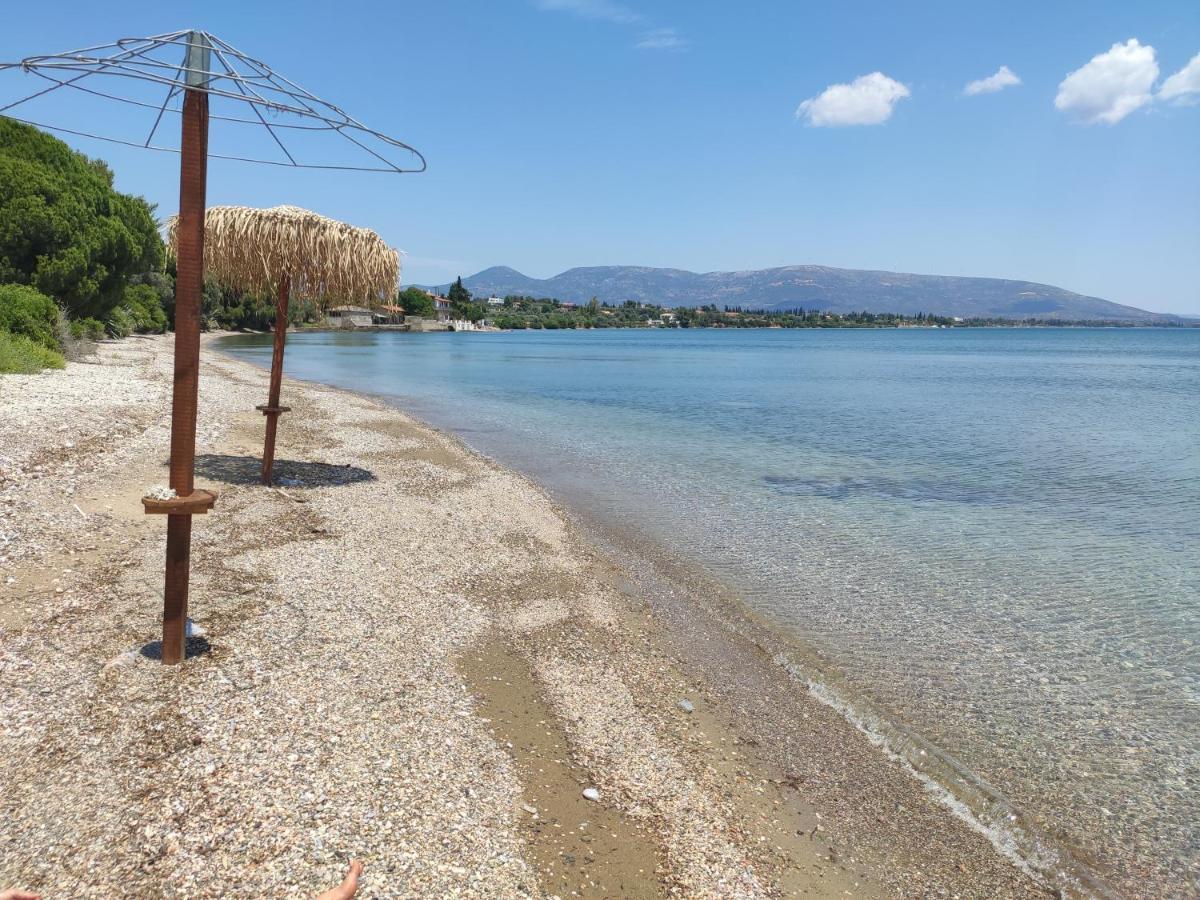 Panorama Apartment Eretria  Ngoại thất bức ảnh