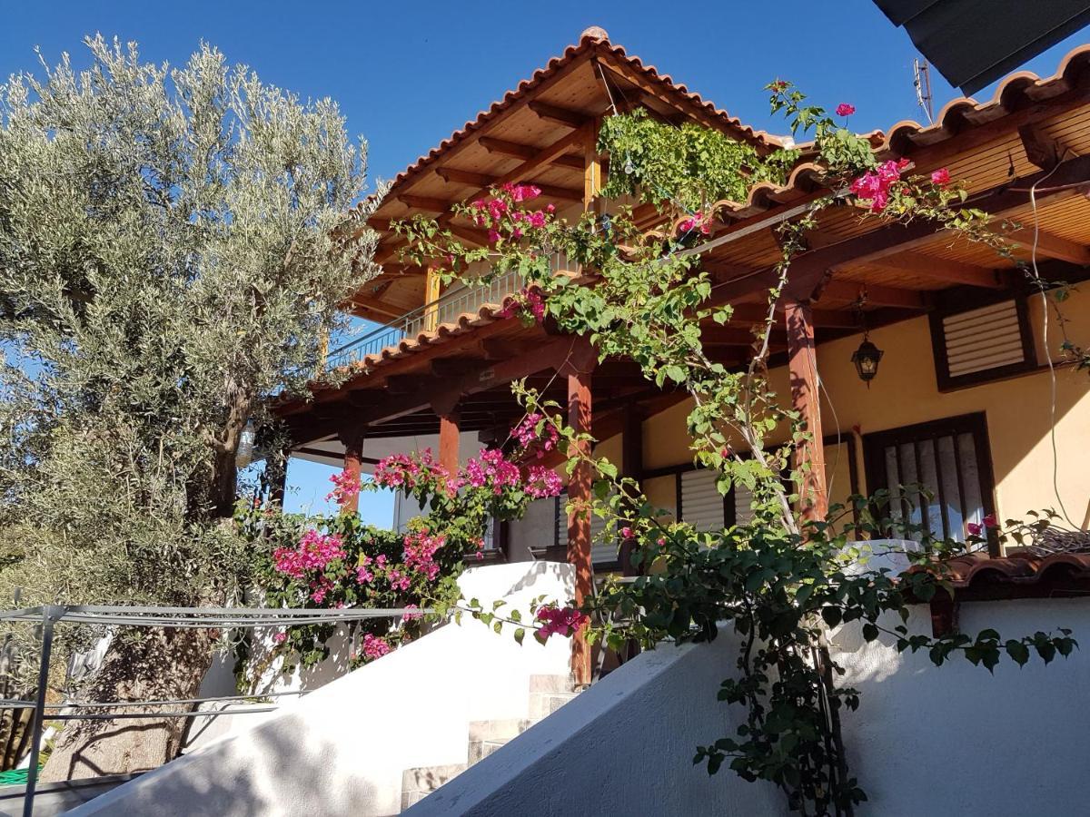 Panorama Apartment Eretria  Ngoại thất bức ảnh