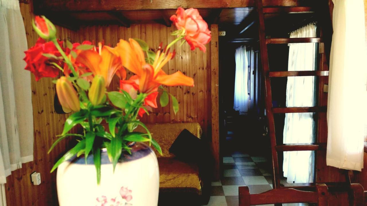 Panorama Apartment Eretria  Ngoại thất bức ảnh